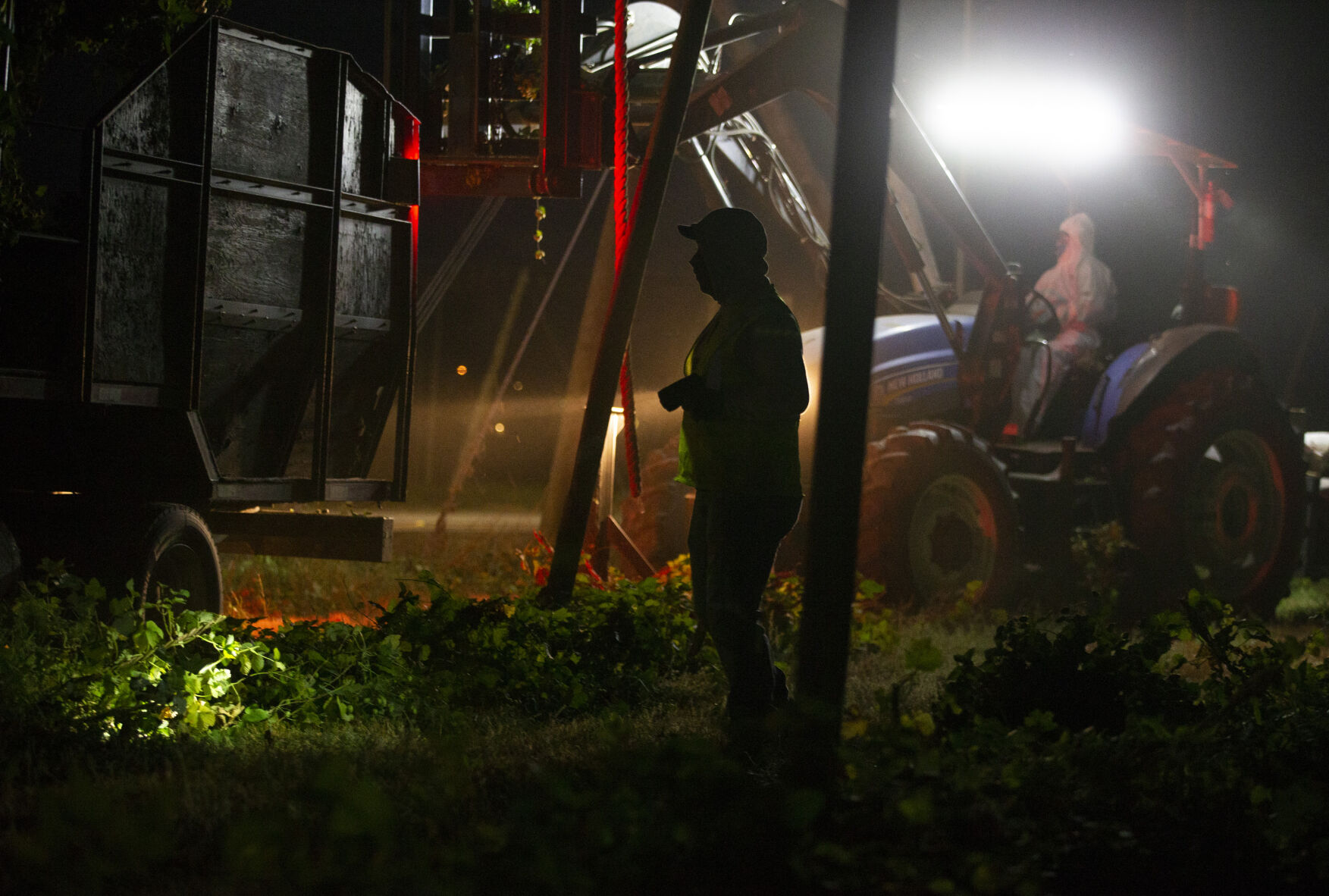 Night Hop Harvest at Morrier Ranch